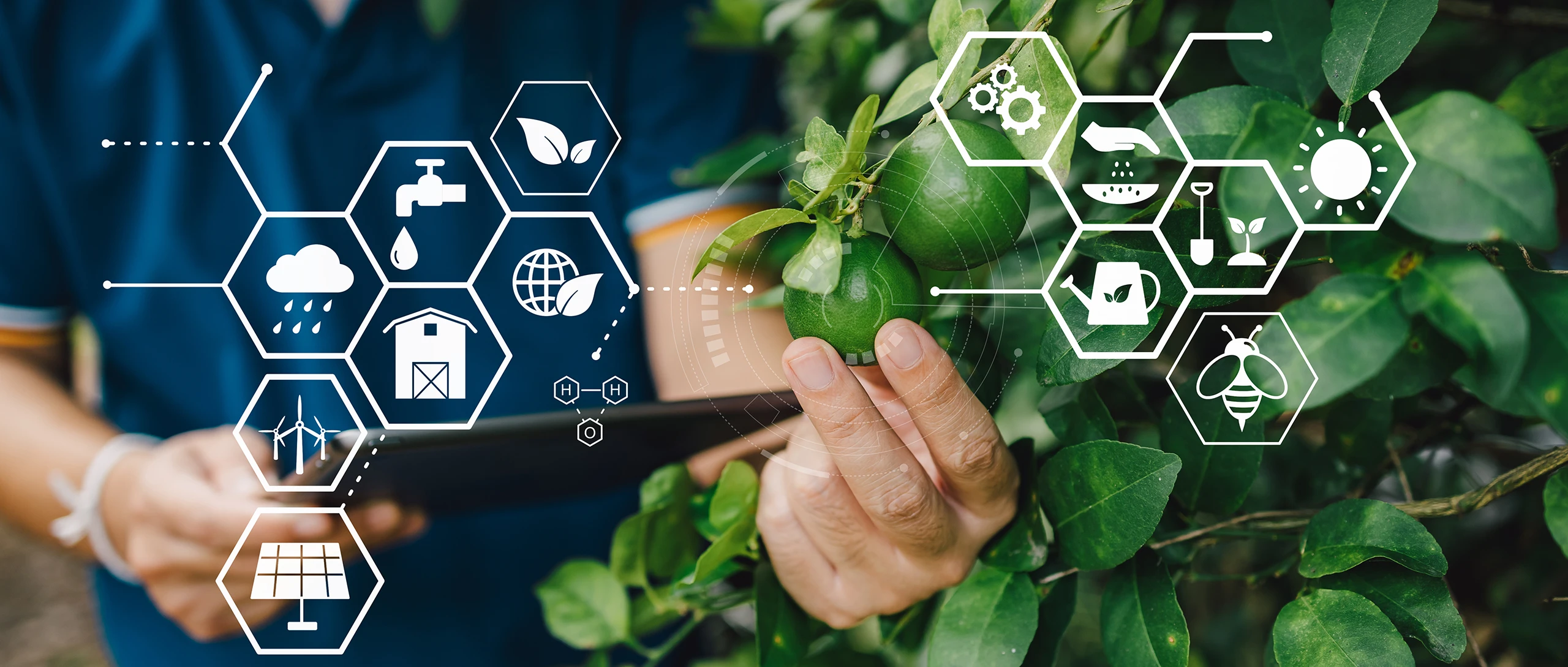 Serre smart, Progetto ERMESS GREEN